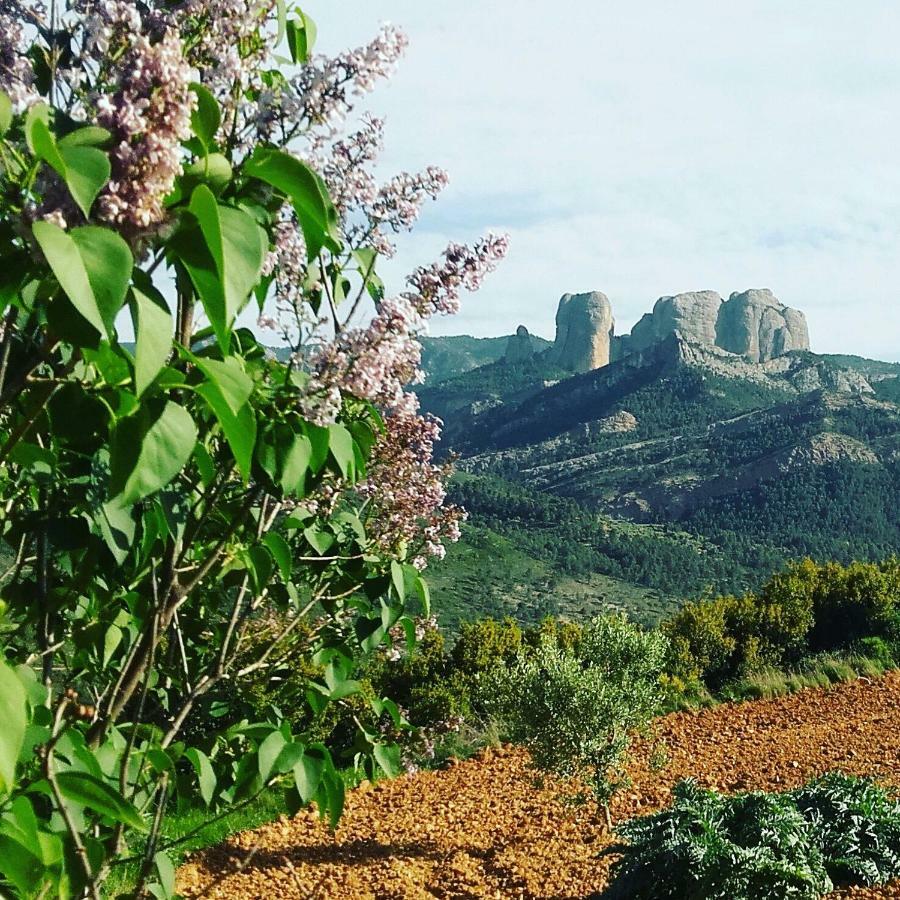 הורטה דה סנט חואן Casa Rural Santana מראה חיצוני תמונה
